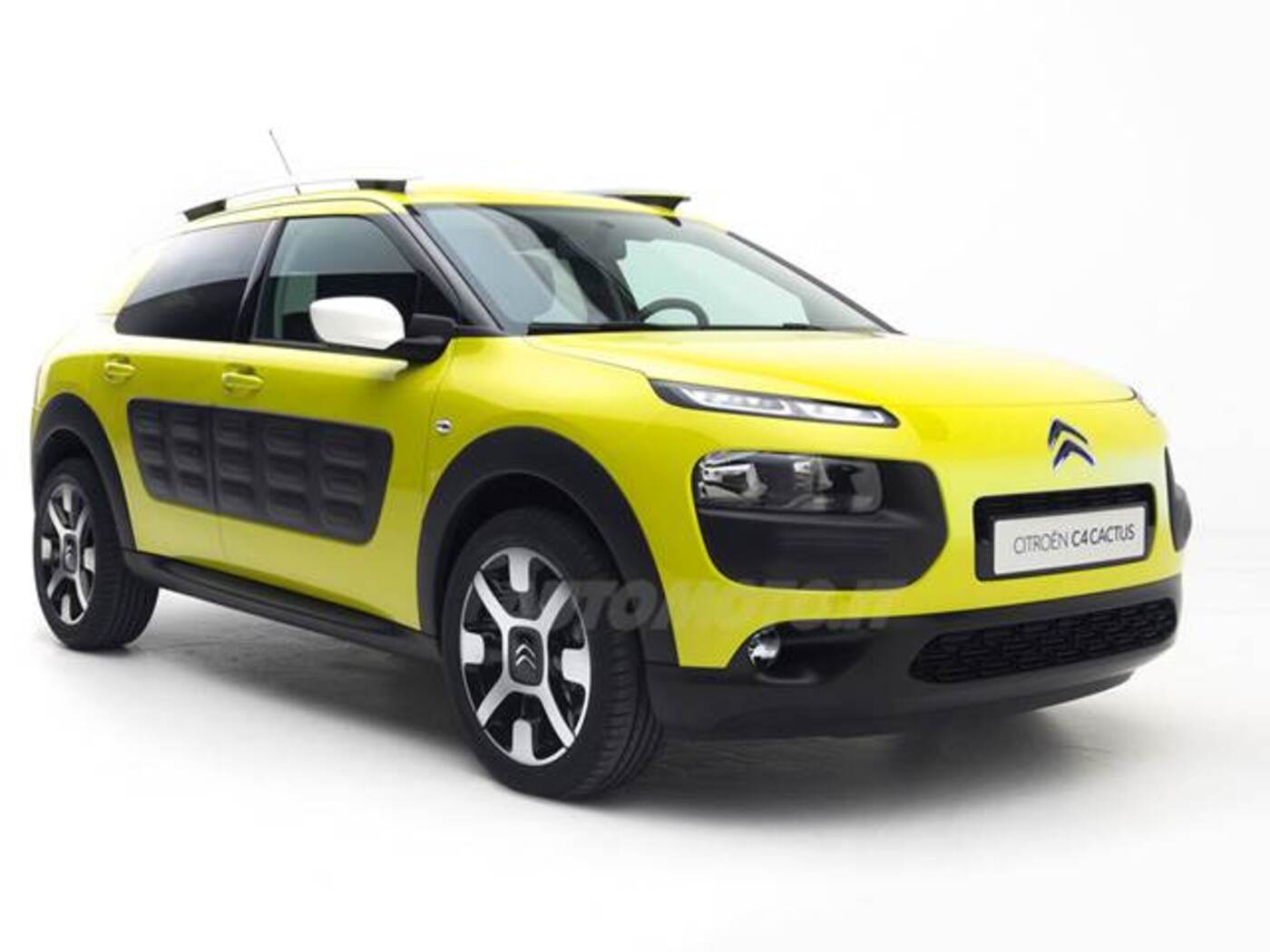 c4 cactus ciesse