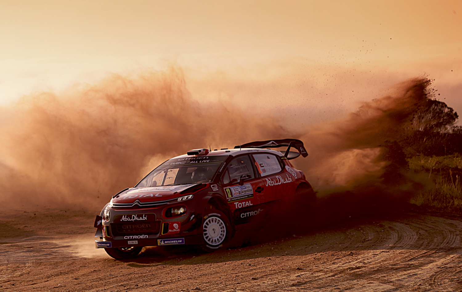 WRC, Rally Argentina 2018: le foto più belle