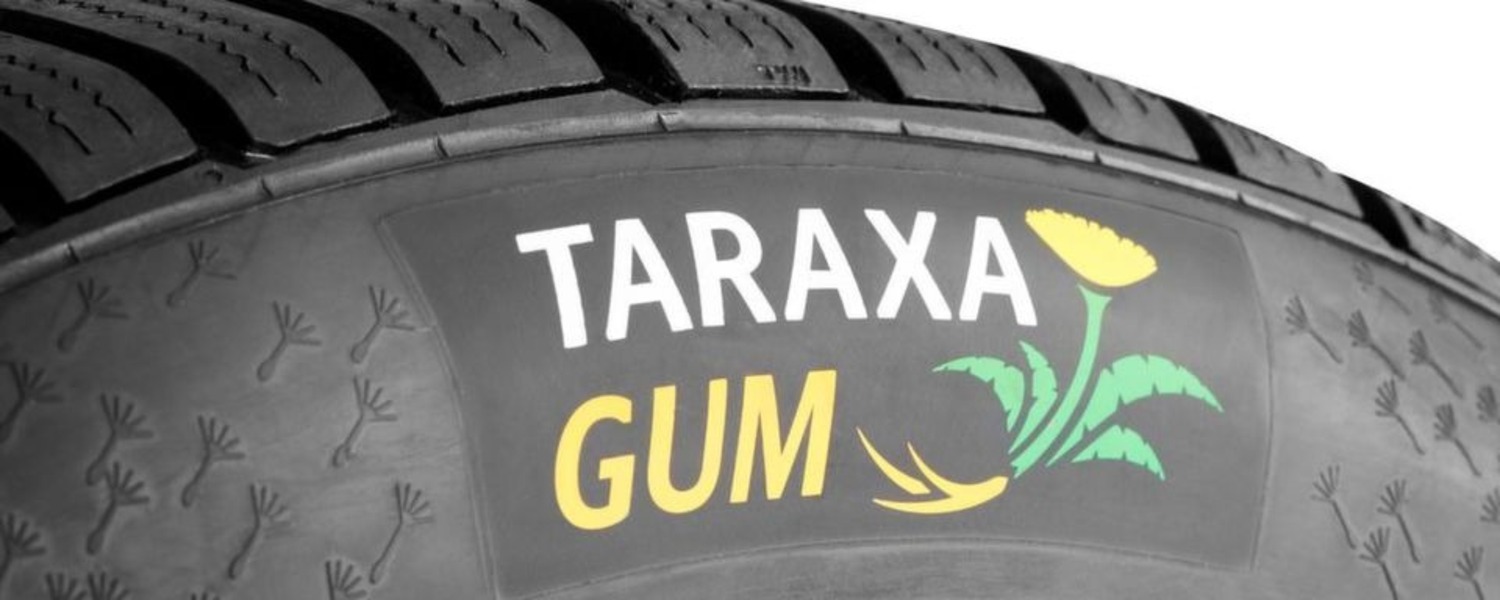 Pneumatici Eco per davvero? Taraxagum, le gomme per auto con “radici” di Tarassaco