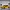 Renault Clio: Cup, Rally ed RX 2020 in un&rsquo;auto sola