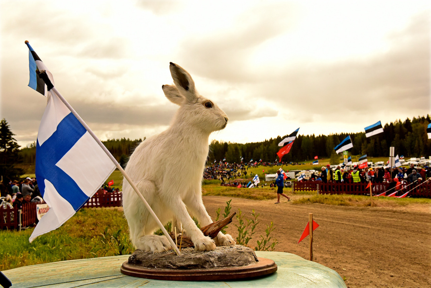 WRC 2019 Finlandia. È Tanak IV, Toyota Yaris WRC