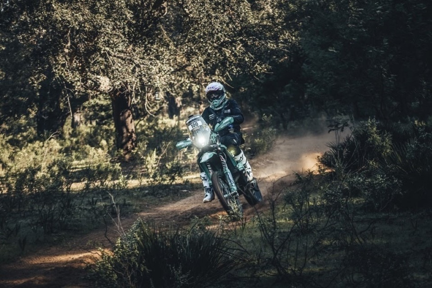 Africa Eco Race. È subito Botturi (Yamaha).