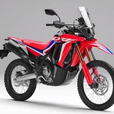 Honda crf 300 rally