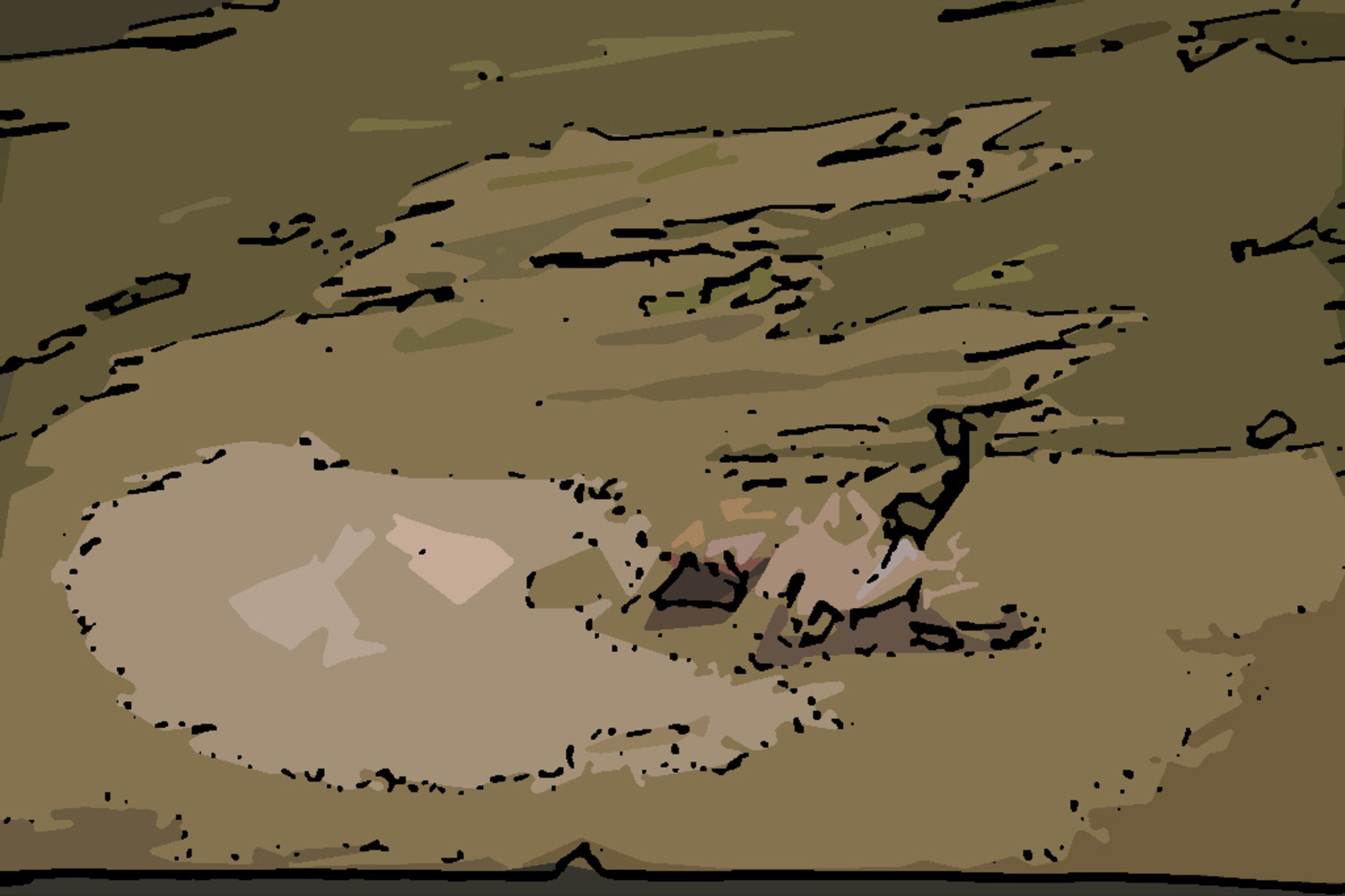 20210516 203047787 9950