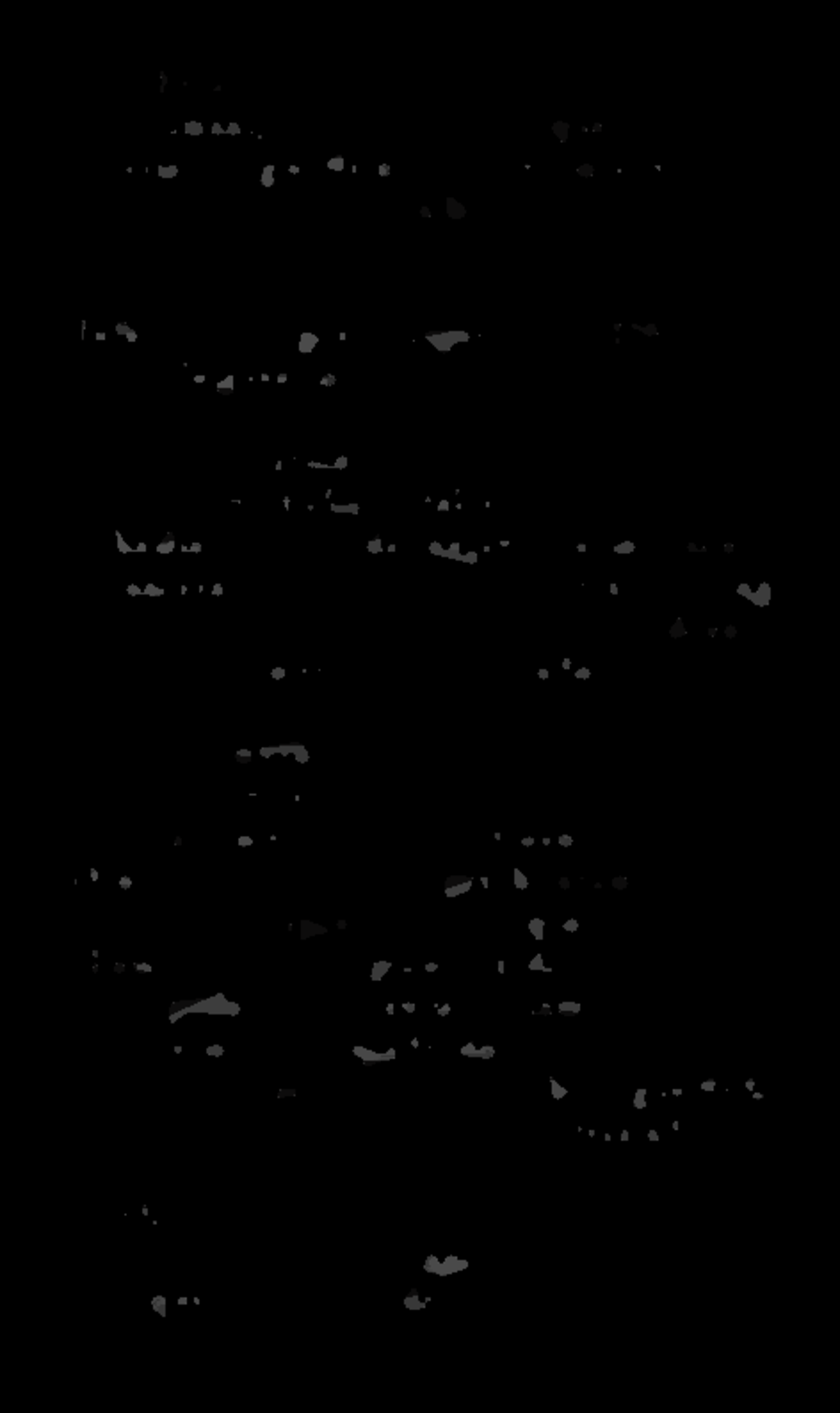 20210924 184448608 3208
