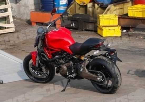 Ducati Monster 821, ecco le prime foto spia Ducati Monster 821, ecco le prime foto spia
