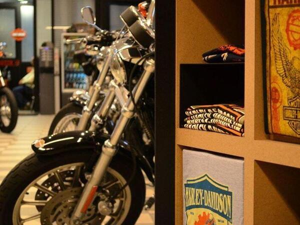 Harley-Davidson Alba - Concessionario moto usate e nuove a Castiglione  Falletto, Cuneo