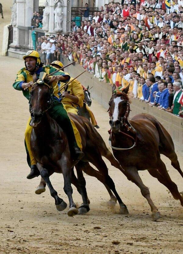 Voglio rinascere cavallo per vincere il Palio di Siena