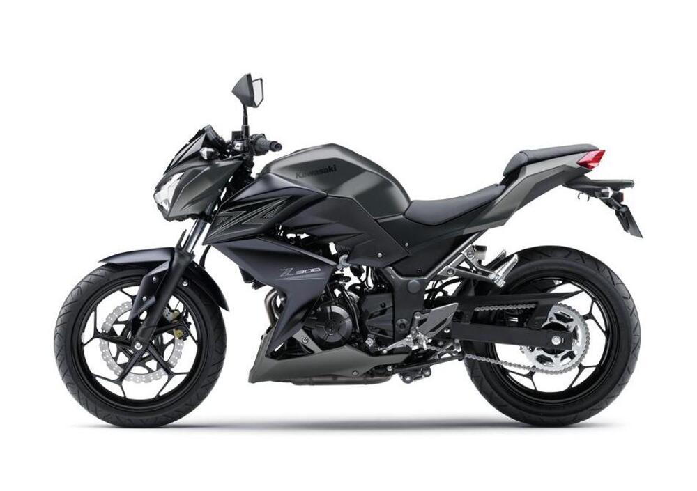 Kawasaki Z 300 ABS (2015 - 16), prezzo e scheda tecnica - Moto.it