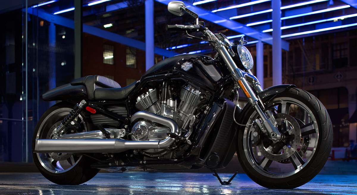 Harley-Davidson 1250 V-Rod Muscle (2009 - 17) - VRSCF, prezzo e scheda  tecnica - Moto.it