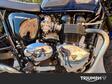 173153309 4343 447