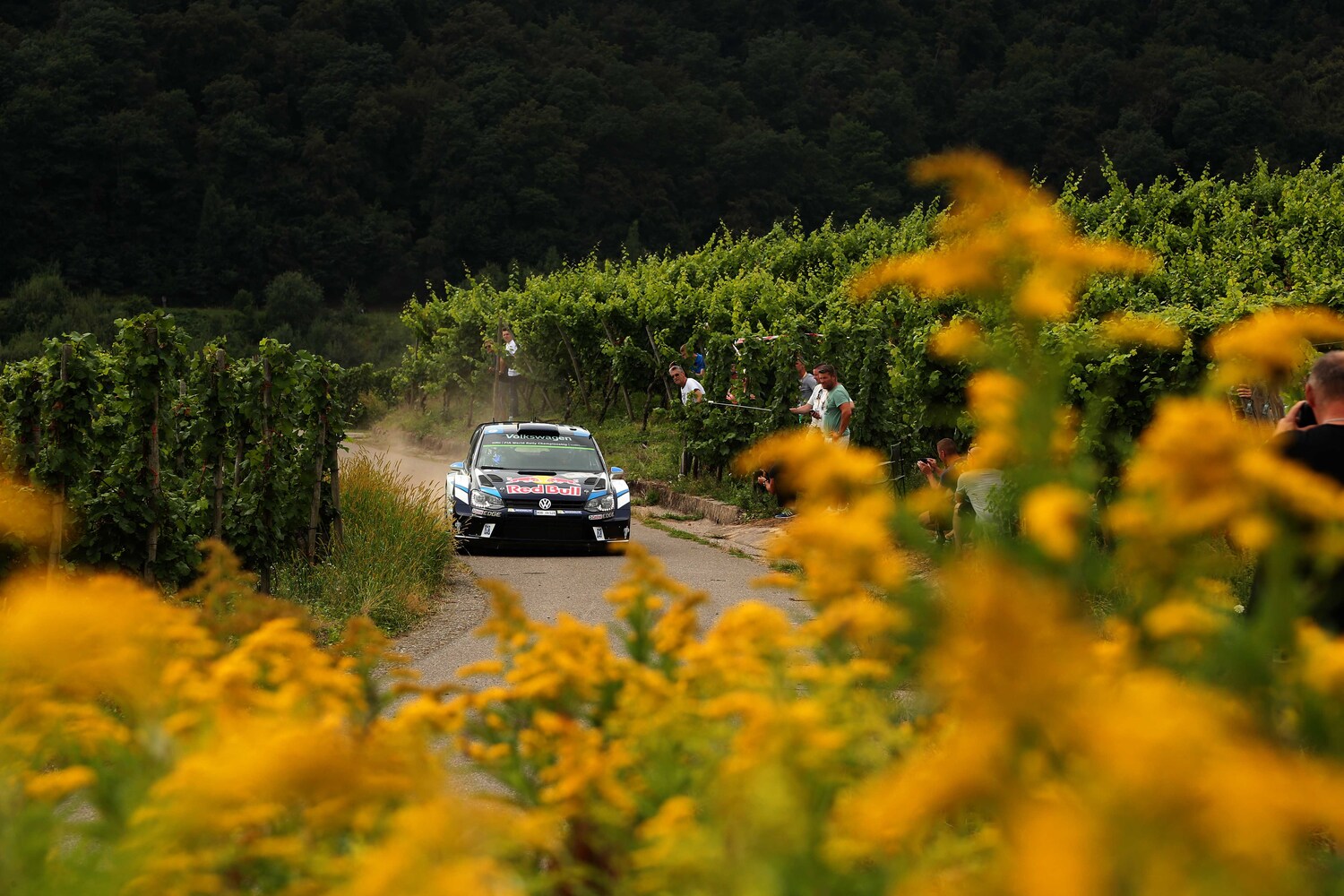 WRC 2016, le foto più belle del Rally di Germania