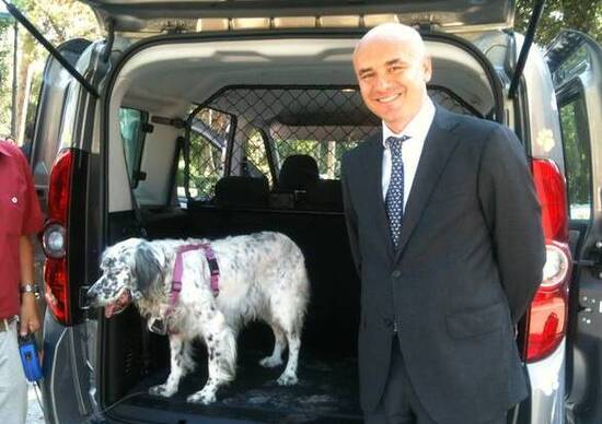 Cani in auto: Opel propone una soluzione dedicata Cani in auto: Opel propone una soluzione dedicata